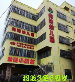 罗平向阳幼儿园阅读区