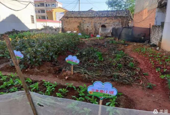 崇仁县三山乡中心小学阅读区