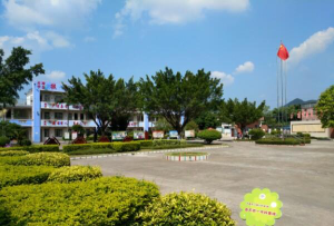 惠城镇西联小学阅读区