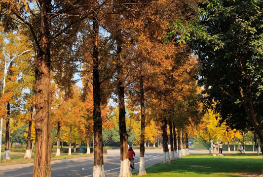 西华大学阅读区