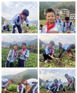 开化县林山乡菖蒲初级中学阅读区