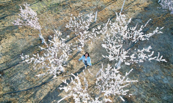 新疆科技学院阅读区