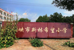 凤凰镇湖峰小学阅读区