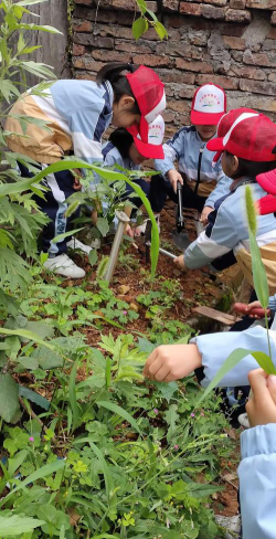 监利县供销幼儿园阅读区