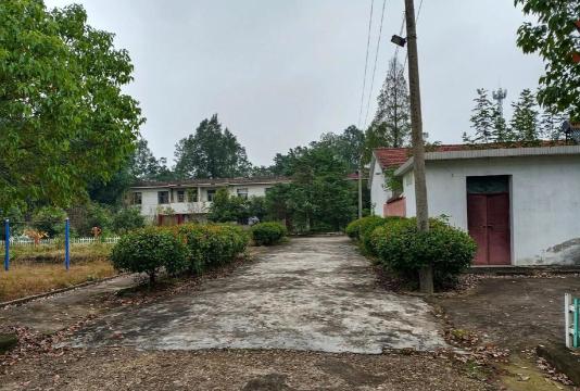 狮子中学阅读区