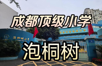成都市泡桐树小学(境界校区)阅读区