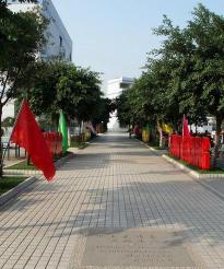 成都龙潭小学阅读区