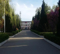淳化县马家镇初级中学阅读区