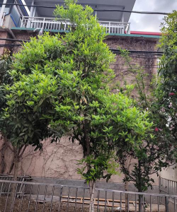 丹阳市后巷中学阅读区