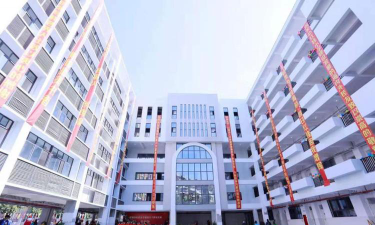 红桂小学阅读区