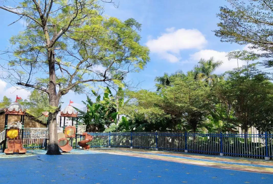 惠阳市童爱双语幼儿园阅读区