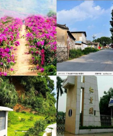 普宁市流沙东街道秀陇小学阅读区