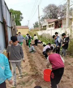 临清市先锋办事处中心小学阅读区