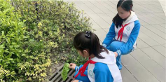 成都市绿舟小学阅读区