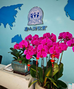 百花盛开艺术培训学校（天津）有限公司阅读区