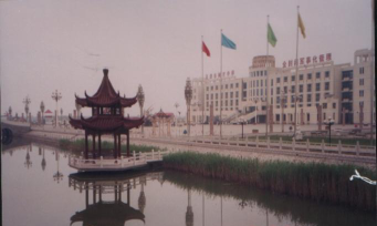树才学校阅读区