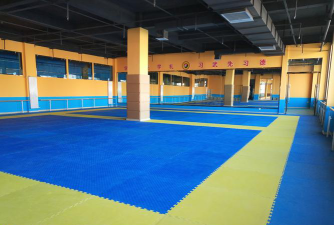 栾川县精武武术体育培训中心有限公司阅读区