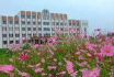 临夏县土桥中学阅读区