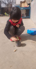 胶州市南杜村乡北杜村幼儿园阅读区