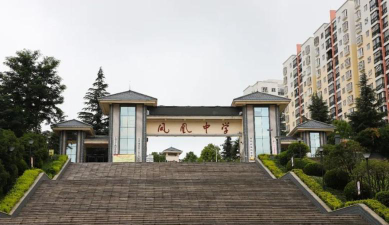 凤凰中学阅读区