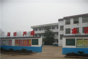 新丰县沙田镇中心小学阅读区