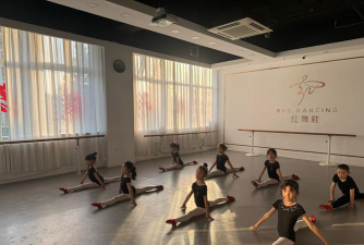 绥阳县雏鹰舞蹈培训有限公司阅读区