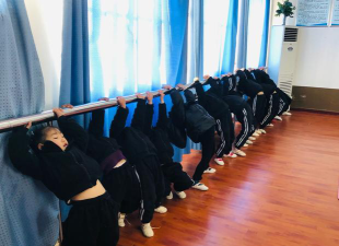 定西小小舞精灵艺术培训学校有限公司阅读区