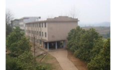 大义中学阅读区