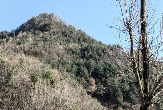马角镇油房沟村小阅读区