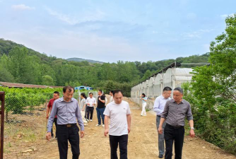 和县石杨镇绰庙中学阅读区