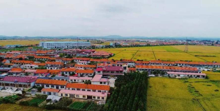 河口镇石佛村小阅读区