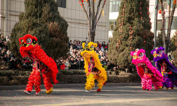 昔阳县乐风文化艺术有限公司阅读区