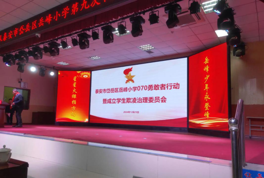 泰安市岱岳区岳峰小学阅读区