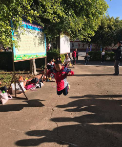 弥渡县寅街镇上达完全小学阅读区