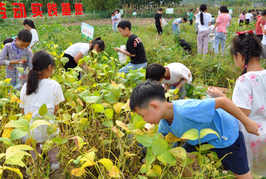 金安区中店乡南山学校阅读区