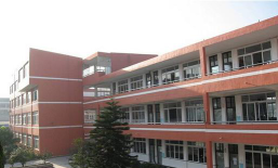 新华小学阅读区
