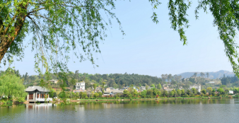 弥勒市弥阳镇砺志培训学校有限公司阅读区