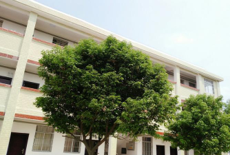 桂林市矮山塘小学阅读区