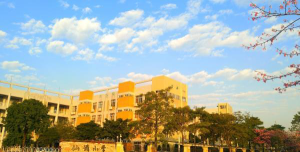 佛山顺德区仙涌小学阅读区