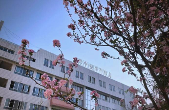 昆明金诺教育培训学校有限公司阅读区