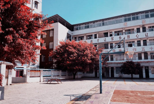 酉溪小学校阅读区