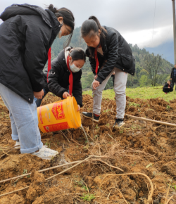 华蓥市天池镇小学阅读区
