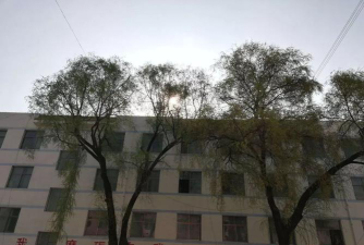 甘肃省成县第二中学阅读区