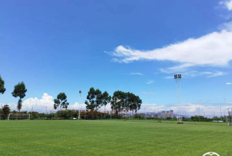 佛山市威斯汀体育培训有限公司阅读区