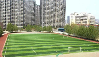 郑州市第八十二中学阅读区
