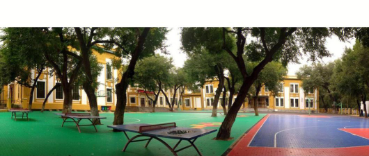 双鸥子校阅读区