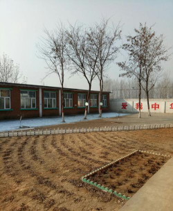 曲阜市小雪镇北林中学阅读区