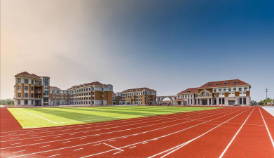 大都学校阅读区