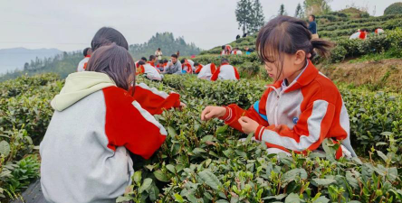 湄潭县建国中学阅读区