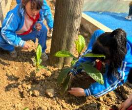 斯栗小学阅读区